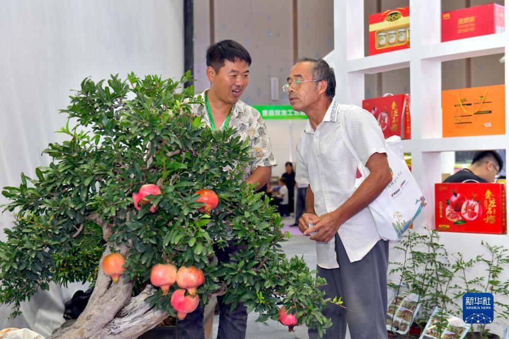 捕鱼达人游戏技巧