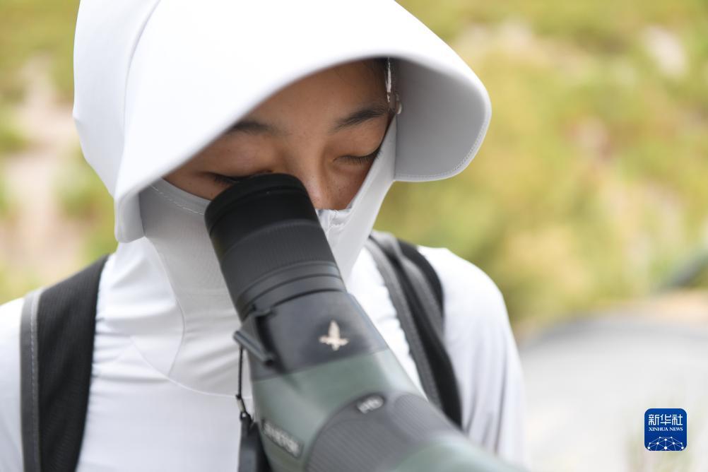 捕鱼金蟾去哪了官网